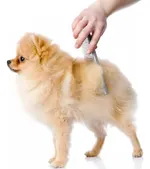 Peine de Acero Inoxidable para Mascotas — foto 3