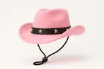 Sombrero Vaquero Para Mascotas Chico Rosa — foto 2
