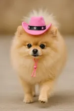 Sombrero Vaquero Para Mascotas Chico Rosa — foto 3