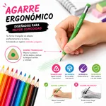 Lápices De Colores Borrables Tryme Caja 24 Piezas — foto 5